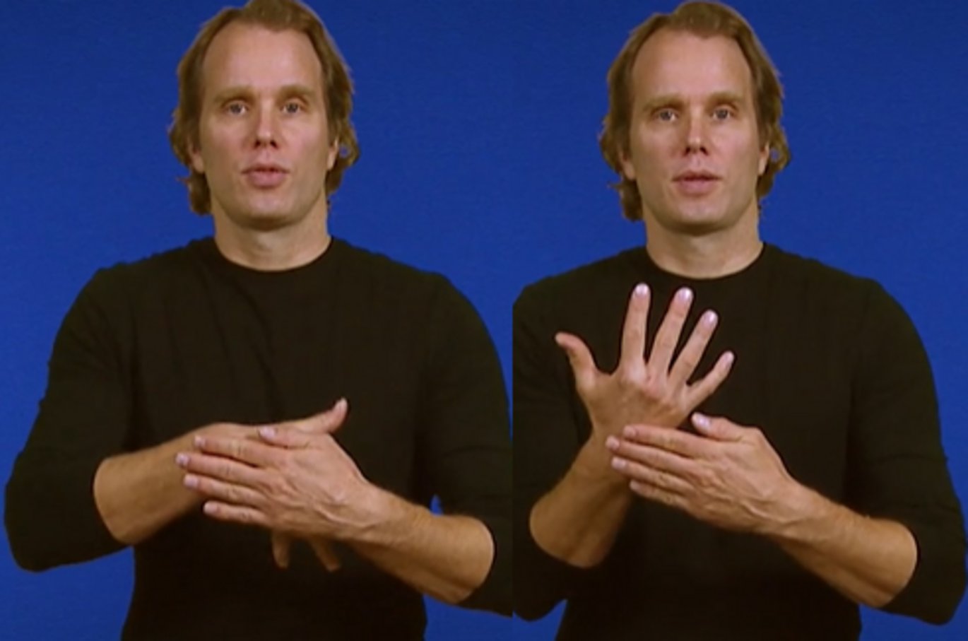 Pictures that demonstrates how to say Norden/Nordic using signlanguage