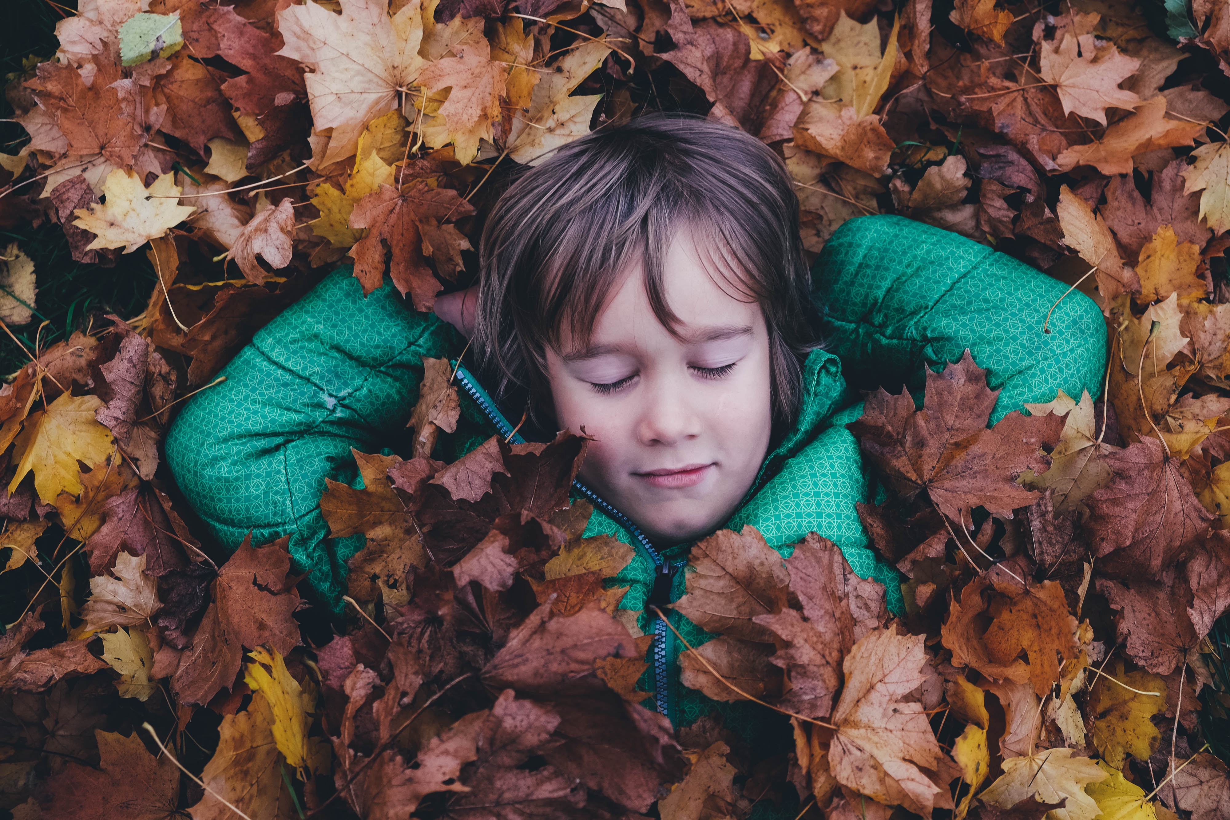 Child surrounded with a bunch of autumn leaves