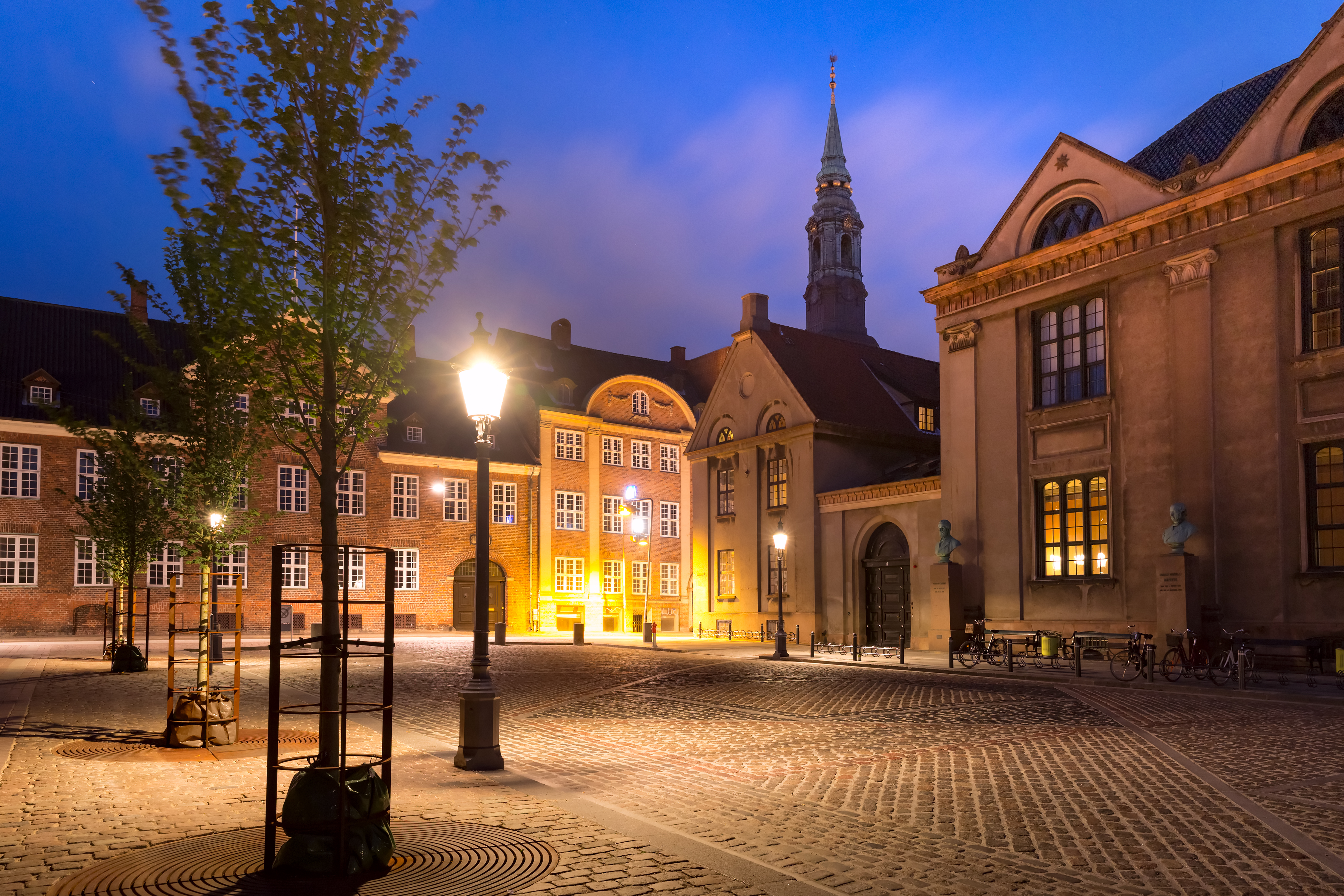 Picture of the University of Copenhagen