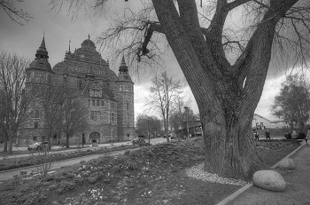 A dark black and white photo of an old building with a large tree in the front.