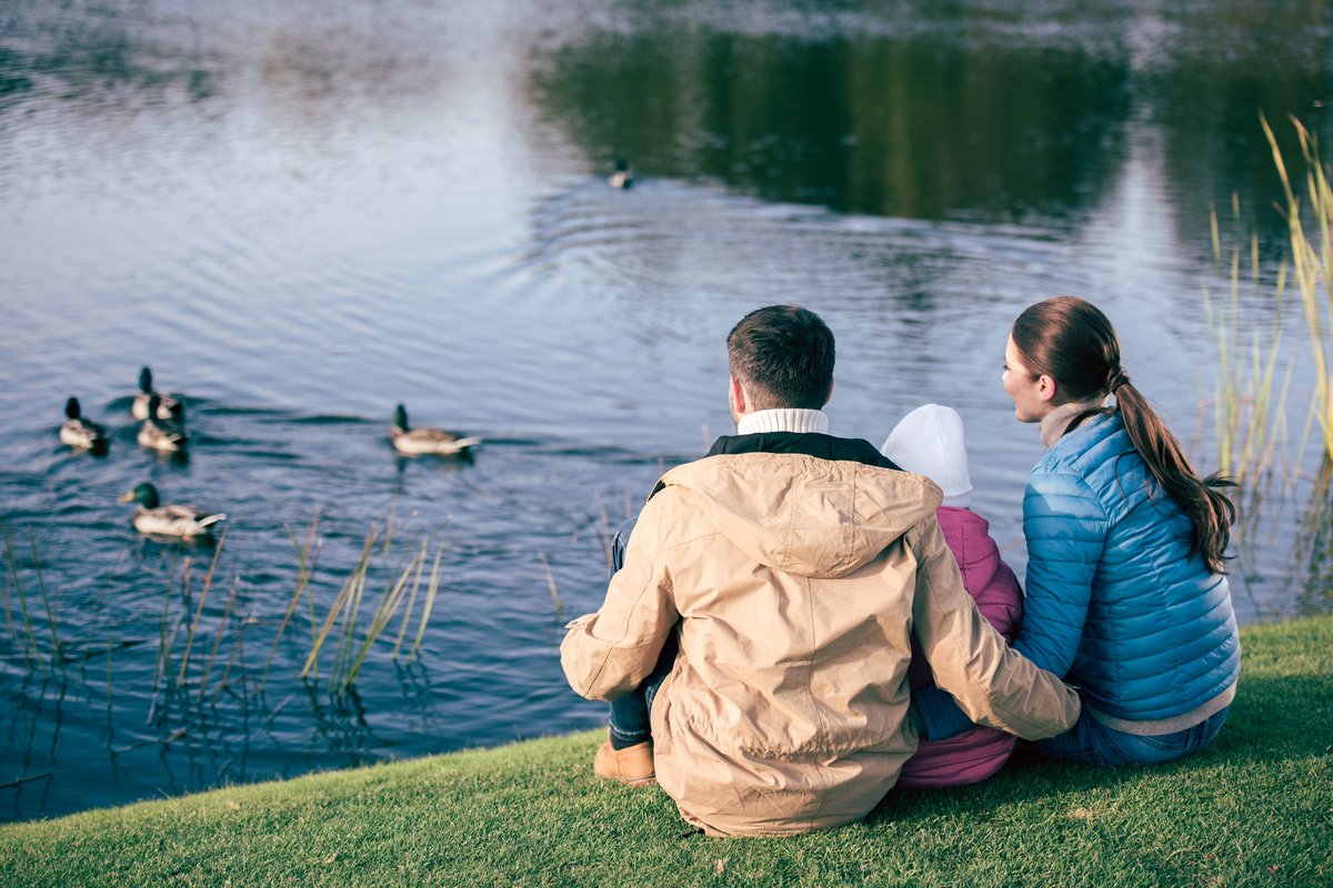 A picture of a man and woman sitting on the bank of a lake with a child between them. They have their backs towards the camera, and in the water are several ducks.