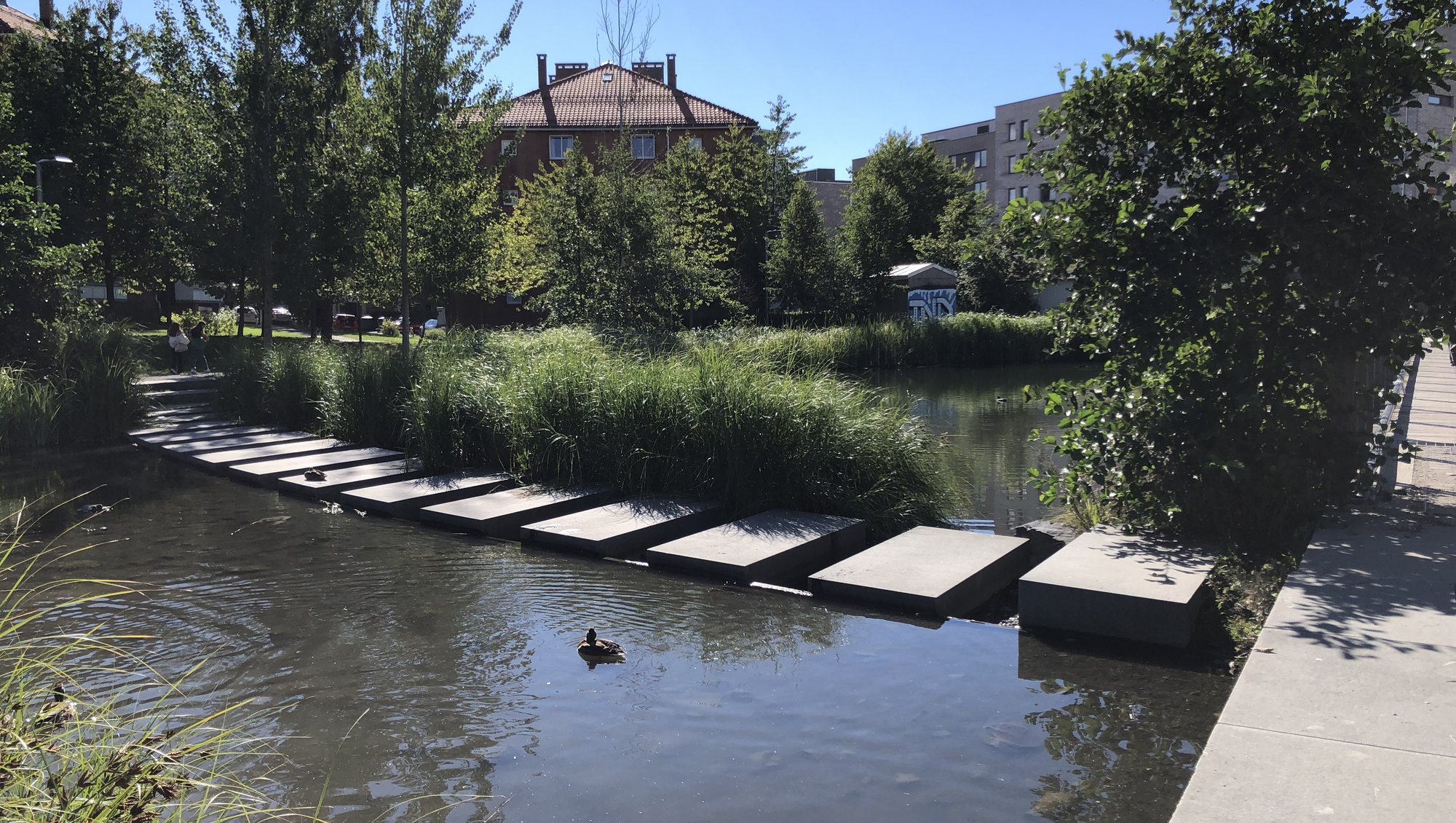 A stone bridge crosses a stream of water in an urban setting in Oslo city. A small duck is laying on one of the stones, and a bigger duck swimming besides the bridge. Around the bridge are many trees and behind the trees, several houses can be seen.