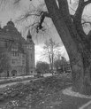 A dark black and white photo of an old building with a large tree in the front.