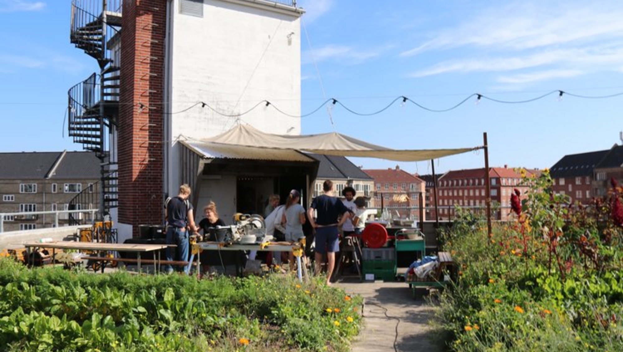 Roof-top garden with people making cider in clear weather.