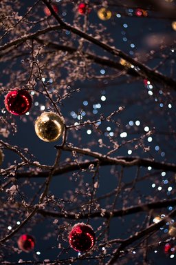 christmas bulbs on a tree outside