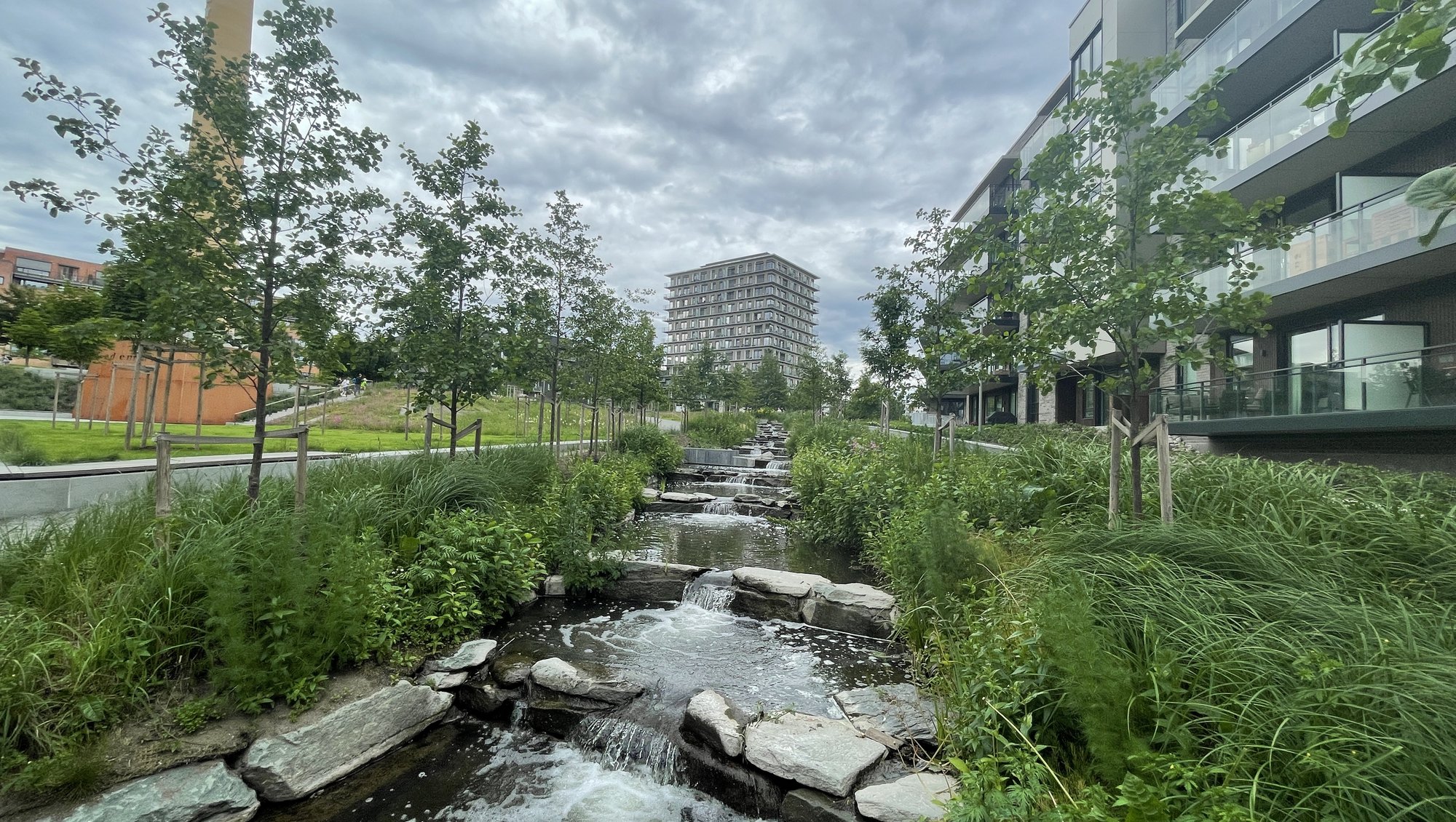 Park, vegetation and stream with apartment blocks around.