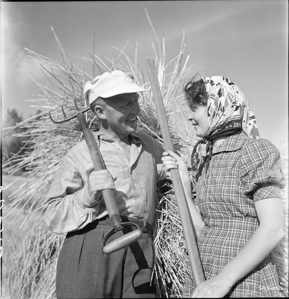 Sally Salminen and her husband participating in the harvest in 1941 as part of volunteer work in Finland during the Continuation War. 