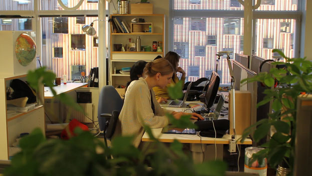 Young people working at desks with plants and an intense but spatious working environment