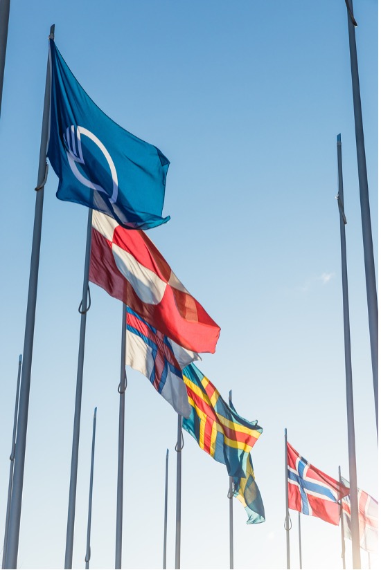 A line of Nordic flags, starting with the flag of the Nordic Council (blue with a white bird).