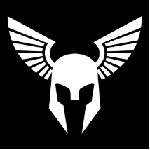 Black and white logo of Viking helmet with wings