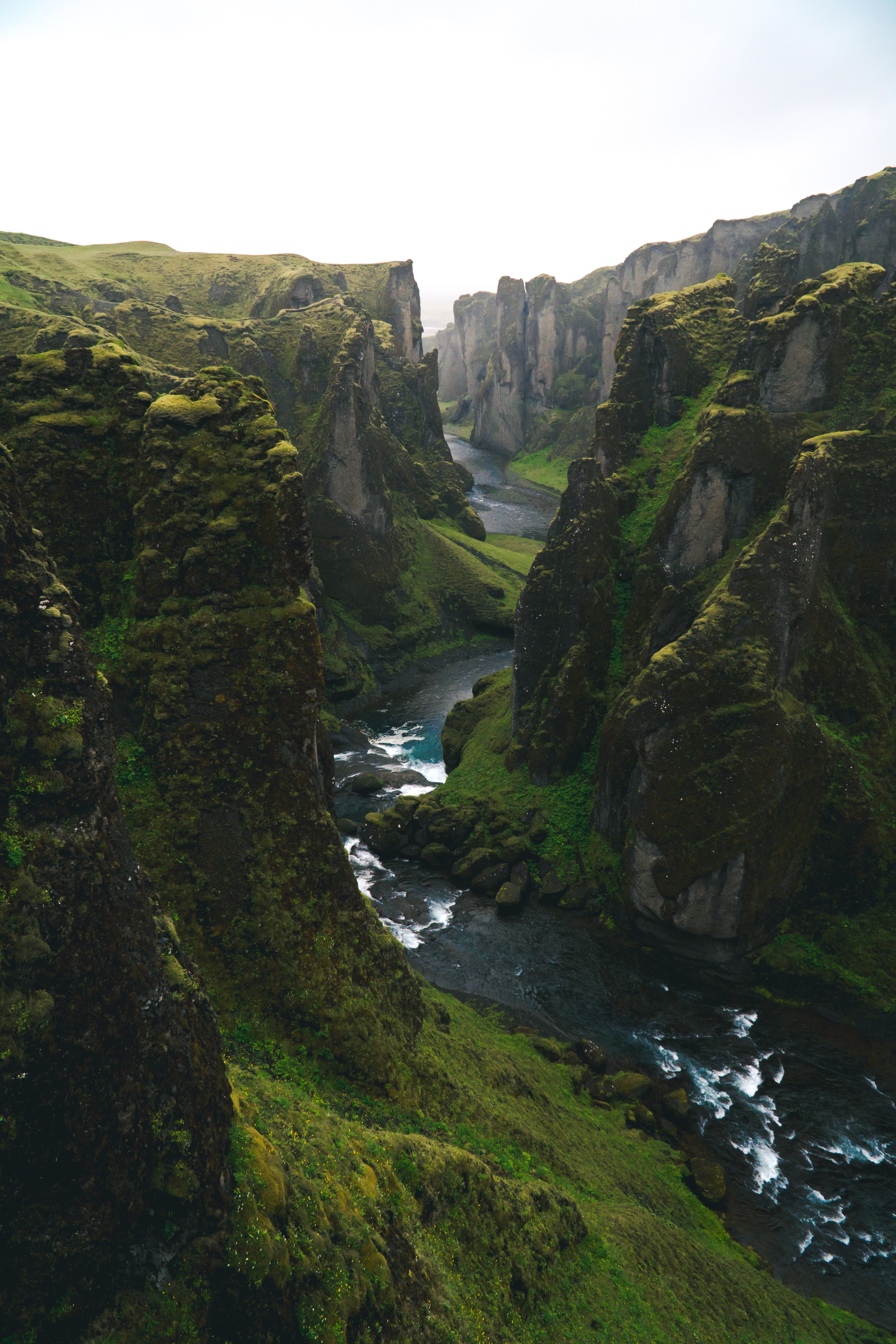 Green nature in Iceland