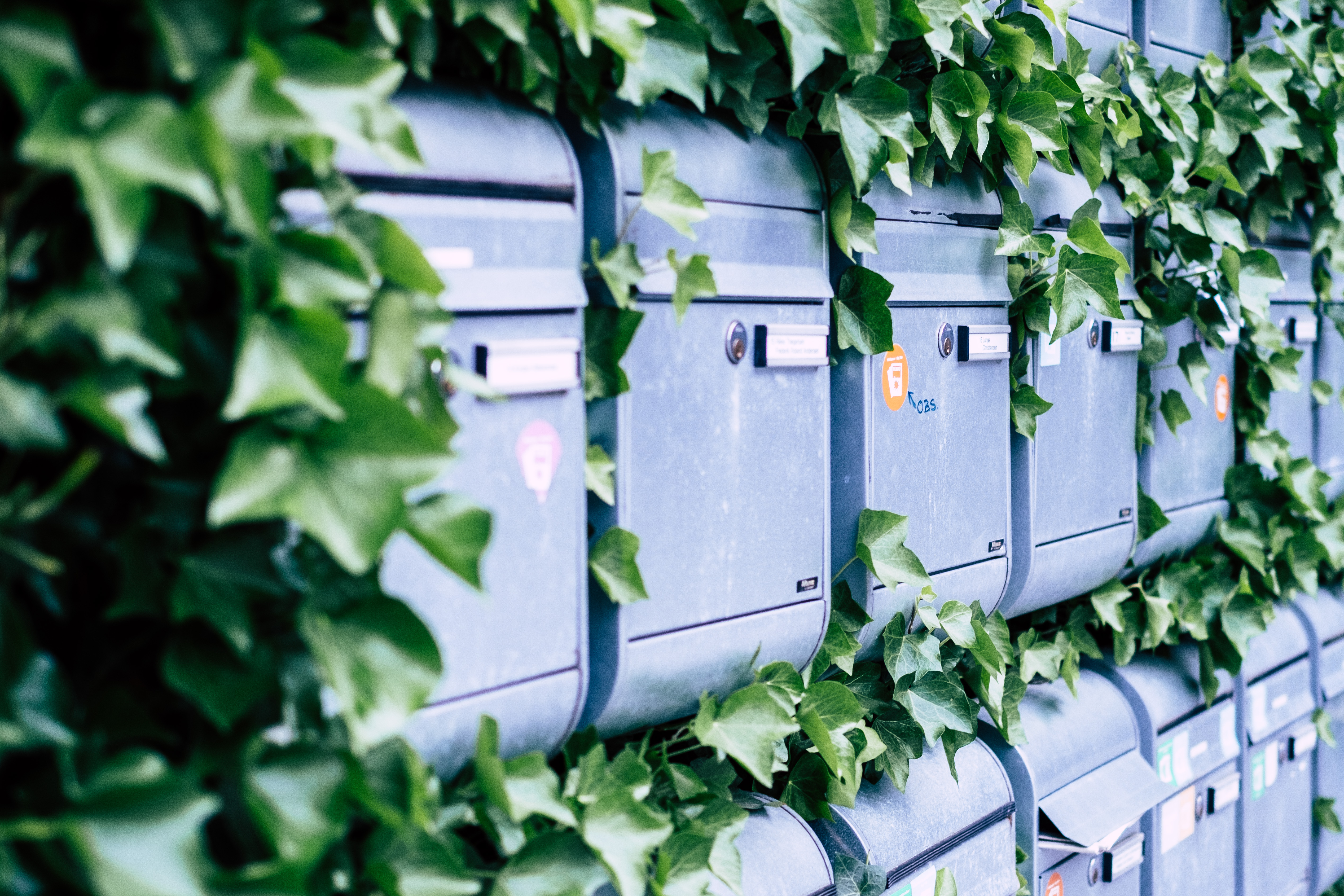 Post boxes with greenery